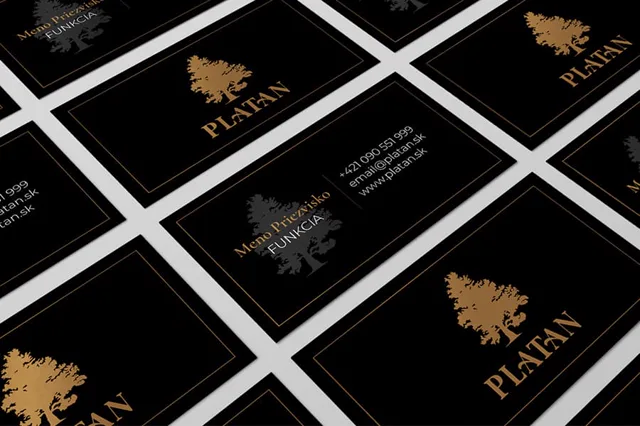 Platan — branding, ukážka práce Verteco